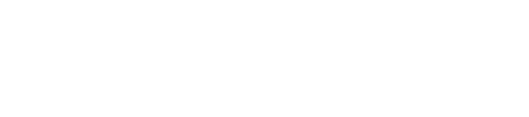QPS — Quark Professional Services